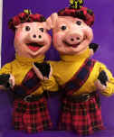Sean-and-Seamus-Highland-Pigs-In-Kilts-Singing-Duo